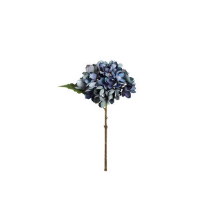 Hortensienblüte Mavi ortanca sapı küçük