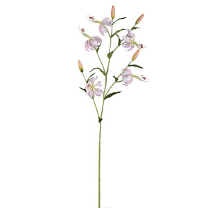 Lily Flower Açık pembe kaplan zambağı dalı