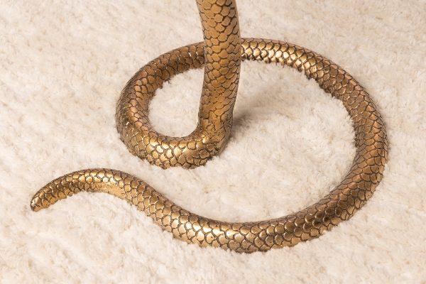 Yan sehpa WILDLIFE SNAKE der Firma Casa Élite